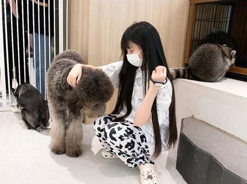 蔡萝莉免费吃瓜,揭秘网红圈幕后故事 第1张 蔡萝莉免费吃瓜,揭秘网红圈幕后故事 第1张