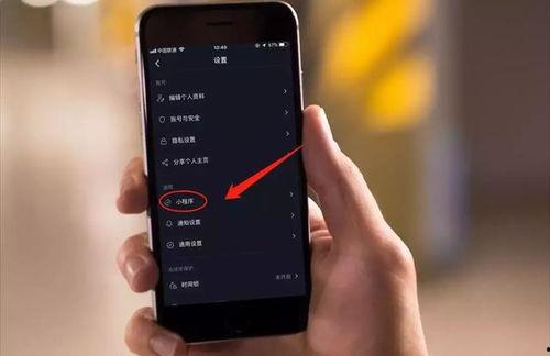 抖音爆料小程序短视频,短视频揭秘热门话题背后的真相